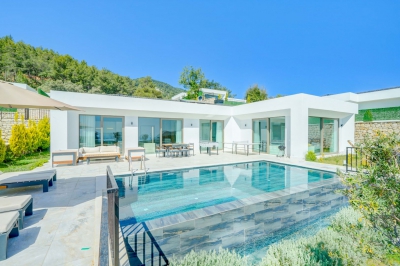 Villa, Jupiter , Planet, doğa içerisinde villa